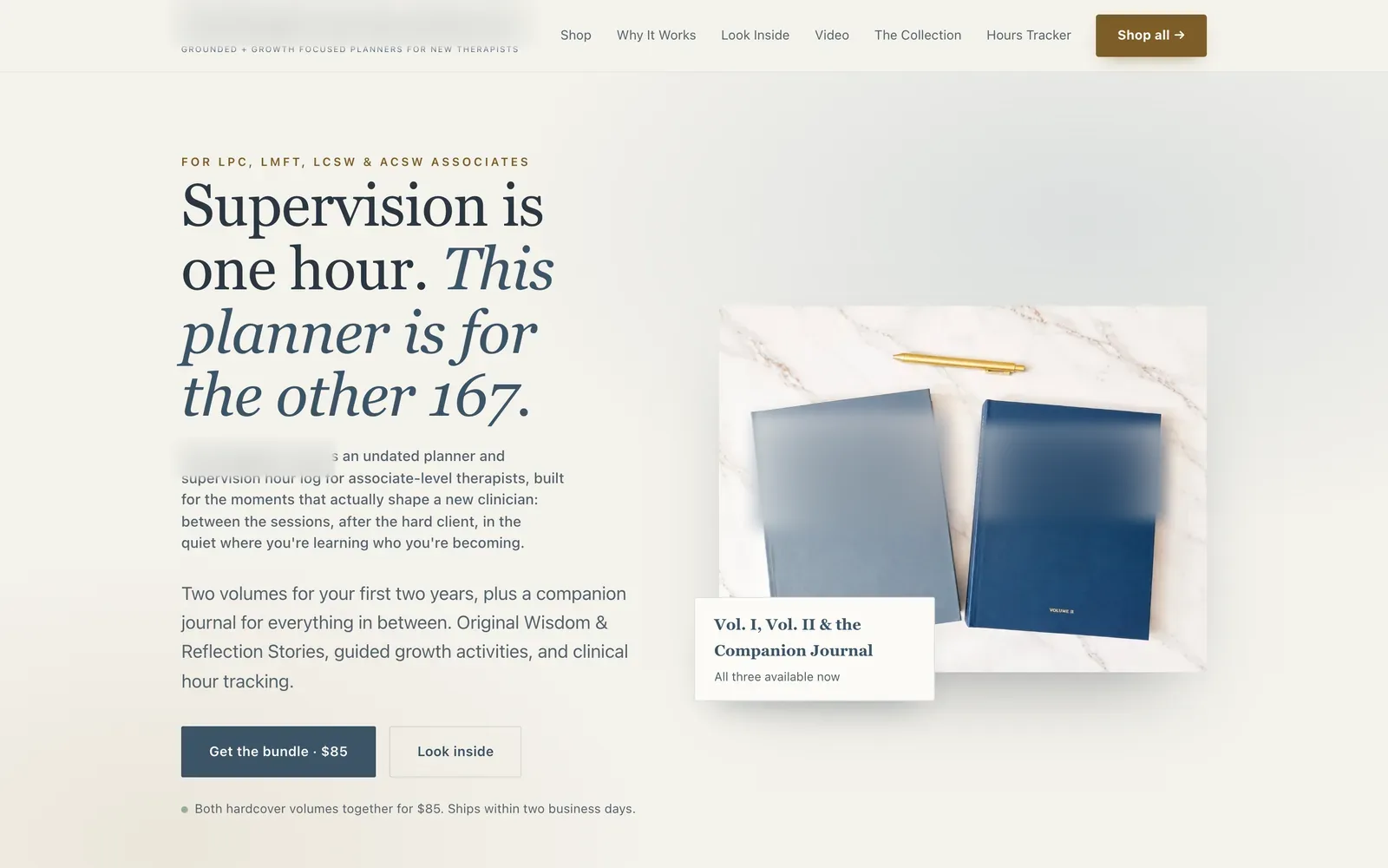 A planner brand for new therapists website, desktop home screen